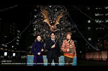 松井玲奈、ライス関町に鋭いアドバイス（「ハリー・ポッターツリー」～Chosen by the Goblet～点灯式／平岡祐太 松井玲奈 関町知弘）