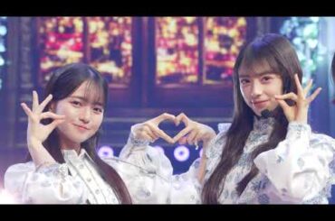 【FNS歌謡祭25.12.03】 乃木坂46 「ビリヤニ」