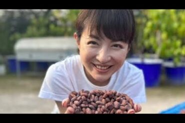 平井理央「タイのランパーンまでカカオ豆を視察」チョコレートで起業し奮闘した1年「低GIで乳酸菌約1000億個のチョコを」
