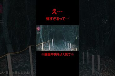 【ガチ】※画面中央をよく見て※死んだ人が走ってます #超閲覧注意  #心霊番組ゼロ #本物