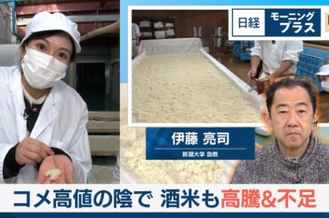 コメ高値の陰で　酒米も高騰＆不足【日経モープラFT】