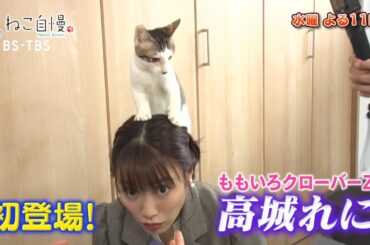 11/19(水)よる11時「ねこ自慢」ももクロ高城れにが子猫にミルクをあげる体験に挑戦！自宅で出来る愛猫の健康チェックも紹介！