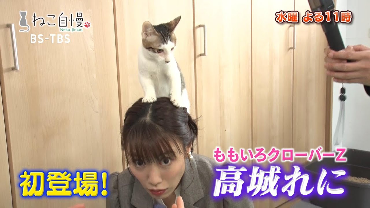 11/19(水)よる11時「ねこ自慢」ももクロ高城れにが子猫にミルクをあげる体験に挑戦!自宅で出来る愛猫の健康チェックも紹介! 11/19(水)よる11時「ねこ自慢」ももクロ高城れにが子猫にミルクをあげる体験に挑戦!自宅で出来る愛猫の健康チェックも紹介!