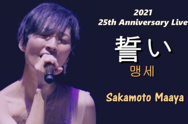 사카모토 마아야(坂本真綾) - 맹세(誓い) 2021 가수 데뷔 25주년 Live / 컨셉앨범 [Driving in the silence] 수록곡 & 본인 자작곡