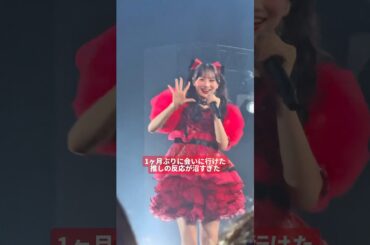 久しぶりに会いに行けました🥲 立花琴未 推しカメラ CANDY TUNE #きゃんちゅー #立花琴未 #アイドル #idol #推し活 [FanCam/직캠]