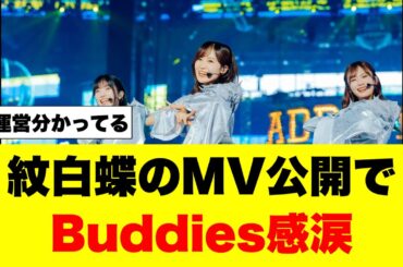 ついに紋白蝶のMVが公開されることに😭