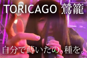 [Live] TORICAGO Jibun de Maita no Tane o - 鶯籠『自分で蒔いたの。種を。』| PROPANE 東京