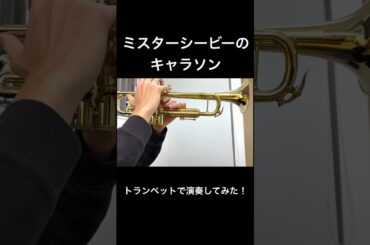 【ウマ娘】夢疾風/ミスターシービー（CV.天海由梨奈）トランペットで演奏してみた！#トランペット #トランペット奏者 #ウマ娘 #天海由梨奈 #あまみへ