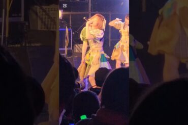 FLASHフラッシュも大好きなんです…。ぜひみんなに知って欲しい。豆柴の大群6周年記念　 #豆柴　#豆柴の大群　#アイカ・ザ・スパイ　#ハナエモンスター　#ナオ・オブ・ナオ　#レオナエンパイア