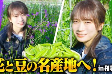和歌山が誇る「花」と「うすいえんどう」を秋元真夏が現地取材！