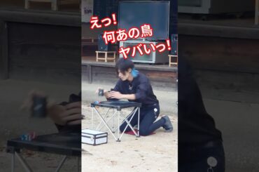 あの鳥は本当にヤバかった... #shorts #大道芸 #俺プロなんで
