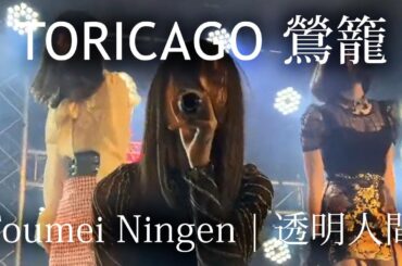 [Live] TORICAGO Toumei Ningen - 鶯籠『透明人間』| PROPANE 東京