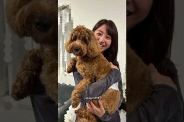 「結構デカ」「大っきい」テレ朝・林美沙希アナ〝キャバプー密着〟ショットに反響「5キロはありそう」「重そう」「好きすぎる」 #viralvideo #breakingnews #サッカー #サッカー日本