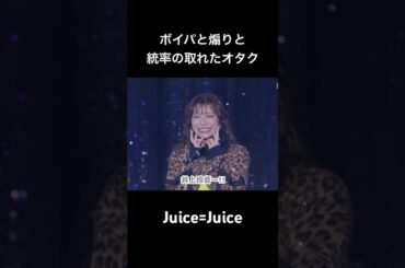 【ハロプロ】ボイパと煽りと統率の取れたオタク【Juice=Juice】 #ハロプロ #歌うま #アイドル #juicejuice #井上玲音 #有澤一華 #石山咲良