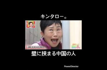 キンタロー。 壁に挟まる中国の人 ものまね