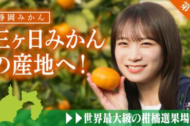 秋元真夏が静岡県へ！静岡みかん「三ヶ日みかん」を収穫体験！世界最大級の柑橘選果場も見学！【第一弾】