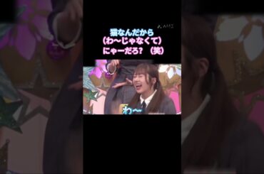 猫なんだから わ〜じゃなくて にゃーだろ？（笑） #石塚瑶季 #日向坂 #日向坂で会いましょう