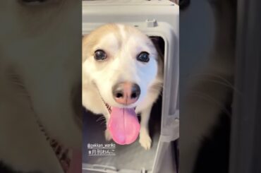 「2025.04.08」譜久村聖