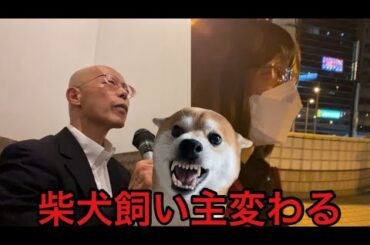 【柴犬飼い主55歳】飼い主が変装して徘徊するようになり管理人さんから事情聴取を受けるようになりました。