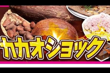 1️⃣ 🌱✨アナウンサーからチョコブランド代表へ──平井理央の“甘い革命”物語🍫🌍