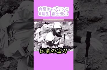 伝説のコケ。　　#秋元真夏 #早川聖良 #矢久保美緒 #筒井あやめ #4期生 #乃木坂46 #cute #nogizaka