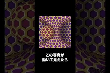 この写真が動いて見えたら注意⚠️