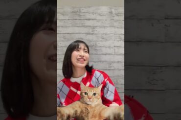 大西沙織のインスタライブ 12/24/2025