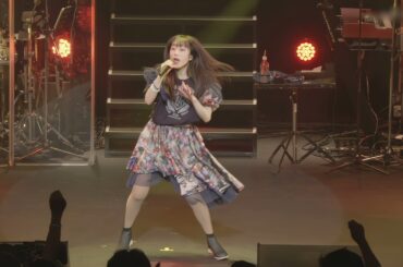 30th ANNIVERSARY LIVE 〜HARMONY STAR〜