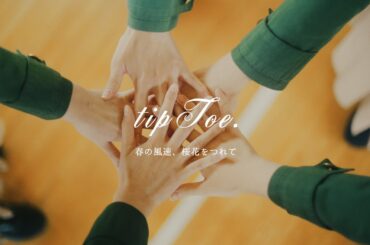 tipToe. - 春の風速、桜花をつれて Music Video
