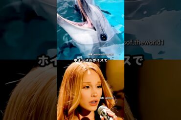 話題になったアリアナ高音チャレンジ