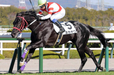 初勝利を挙げたヨカオウ（カメラ・朝田　秀司）