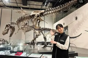 36歳声優・女優が11歳下の俳優・歌手と結婚報告「ご縁を大切にしながら誠実に歩んでまいります」 - スポニチ Sponichi Annex 芸能