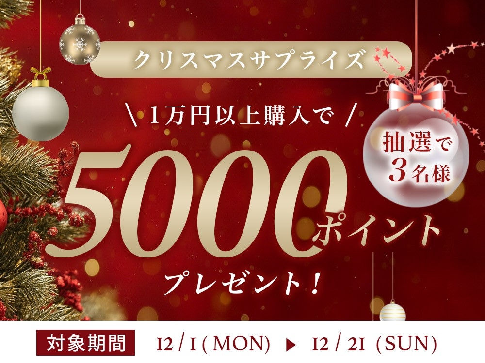 クリスマス特別企画!セラミド化粧品を購入すると抽選で5000ポイントプレゼント | NEWSCAST クリスマス特別企画!セラミド化粧品を購入すると抽選で5000ポイントプレゼント | NEWSCAST