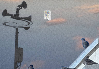 PaleCorn、「littlesky…」を配信開始｜THE MAGAZINE