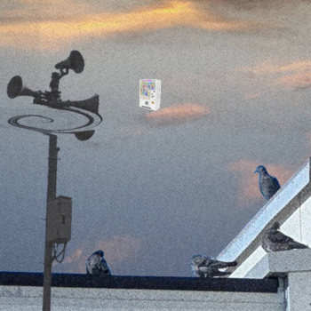 PaleCorn、「littlesky…」を配信開始|THE MAGAZINE PaleCorn、「littlesky…」を配信開始|THE MAGAZINE