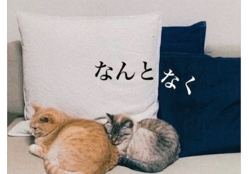 濱畑　有騎、「なんとなく」を配信開始｜THE MAGAZINE