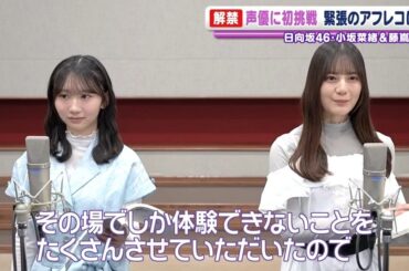 日本テレビ放送網