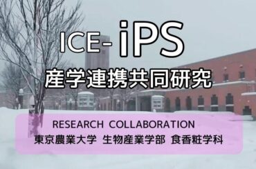 【世界初への挑戦】「最先端iPS技術」×「オホーツクの実学」が融合。株式会社ICEと東京農業大学 生物産業学部 食香粧学科が、次世代の細胞培養上清液に関する共同研究を開始 | 株式会社ICEのプレスリリース