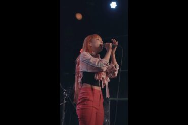 2025.11.28 Handy Live Video