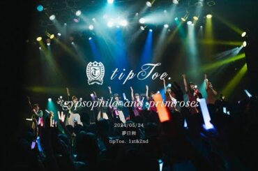 tipToe. - 夢日和(2024/05/24 1期&2期コラボ)