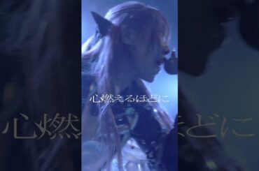 【Dancin'Baby】LIVE MV公開中⚡️ 本編は説明欄から#アイドル  #ライブ#LΩPARA#ろーぱら #lωpara #ライブ #アイドル