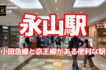 4K【永山駅周辺～小田急線と京王線がある便利な駅】多摩センター駅のお隣【新旧駅まわりのお店を見ながら】【小田急マルシェ】【グリナード永山】【ベルブ永山】【西友】【日本医科大学多摩永山病院】【竹取の湯】