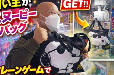 【柴犬飼い主55歳】スヌーピー好きのドカタが輝いた！