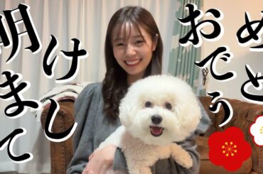 杉浦家から新年のご挨拶🎍🌸