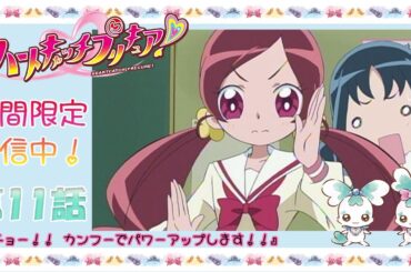 【15周年記念公開】ハートキャッチプリキュア！第11話『アチョー!! カンフーでパワーアップします!!』