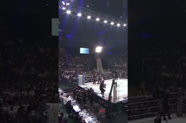 #伊澤星花 vs. #浅倉カンナ #rizin48 #shorts