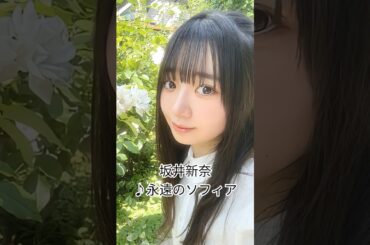 #坂井新奈 #永遠のソフィア#日向坂46 #日向坂5期生 #新参者 #shorts