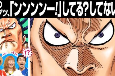 【神企画】究極のワンピ2択クイズ！正解はどっちだ!?【仲間がいるよTube!!!!】