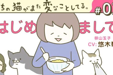 【漫画】うちのかわいい猫たちを紹介します（CV:悠木碧、小市眞琴、森永千才、平川嵐）｜『うちの猫がまた変なことしてる。』（1）【マンガ動画】ボイスコミック
