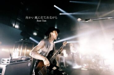 茅原実里 – 向かい風に打たれながら (from Message) | Bass Cam: 二家本亮介